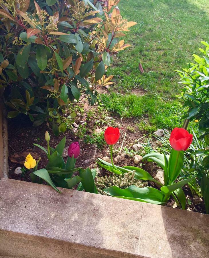 Papere E Tulipani Apartment Vicenza Luaran gambar